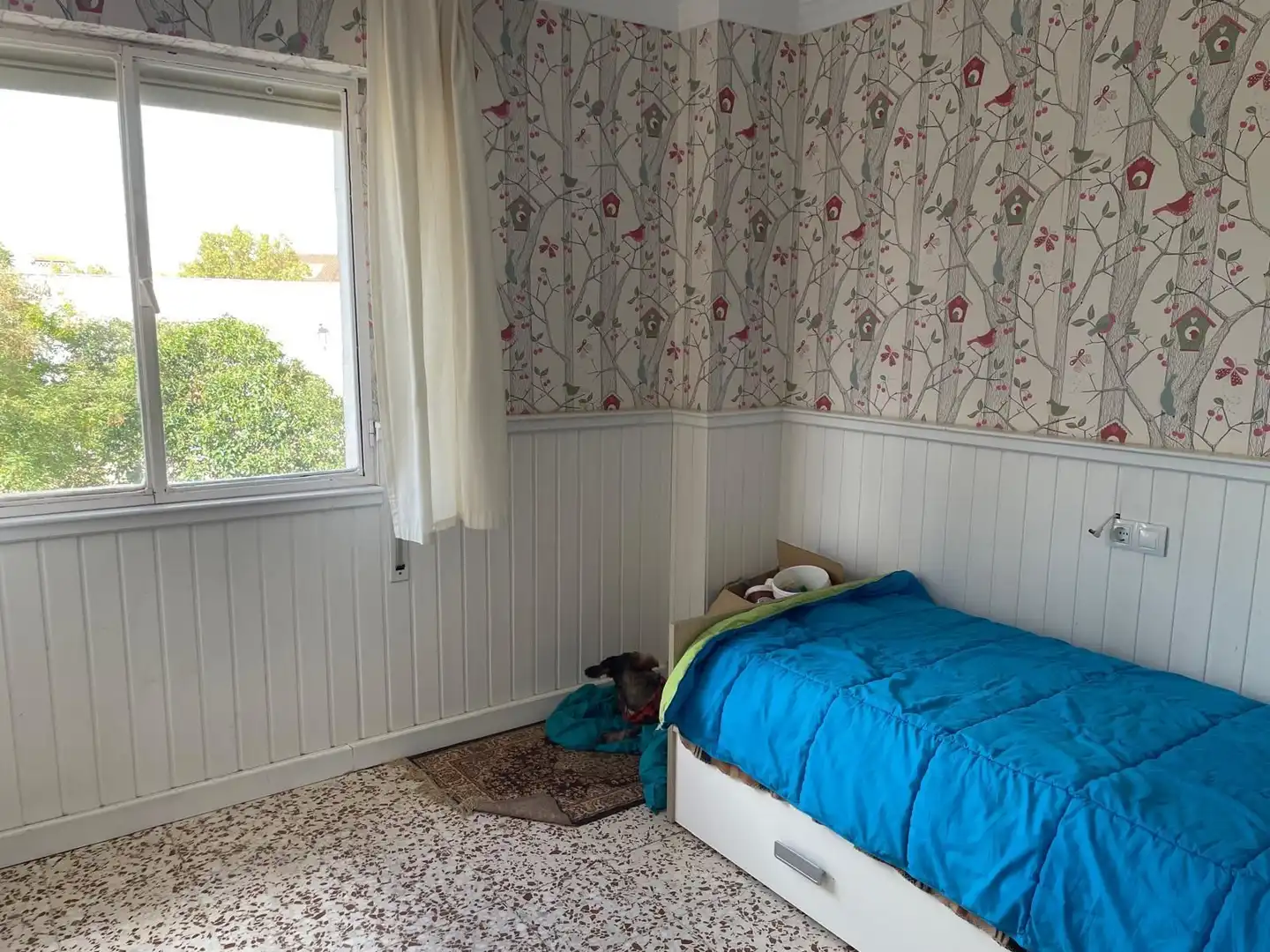 Appartement avec ascenseur à vendre à san miguel, imagen 21