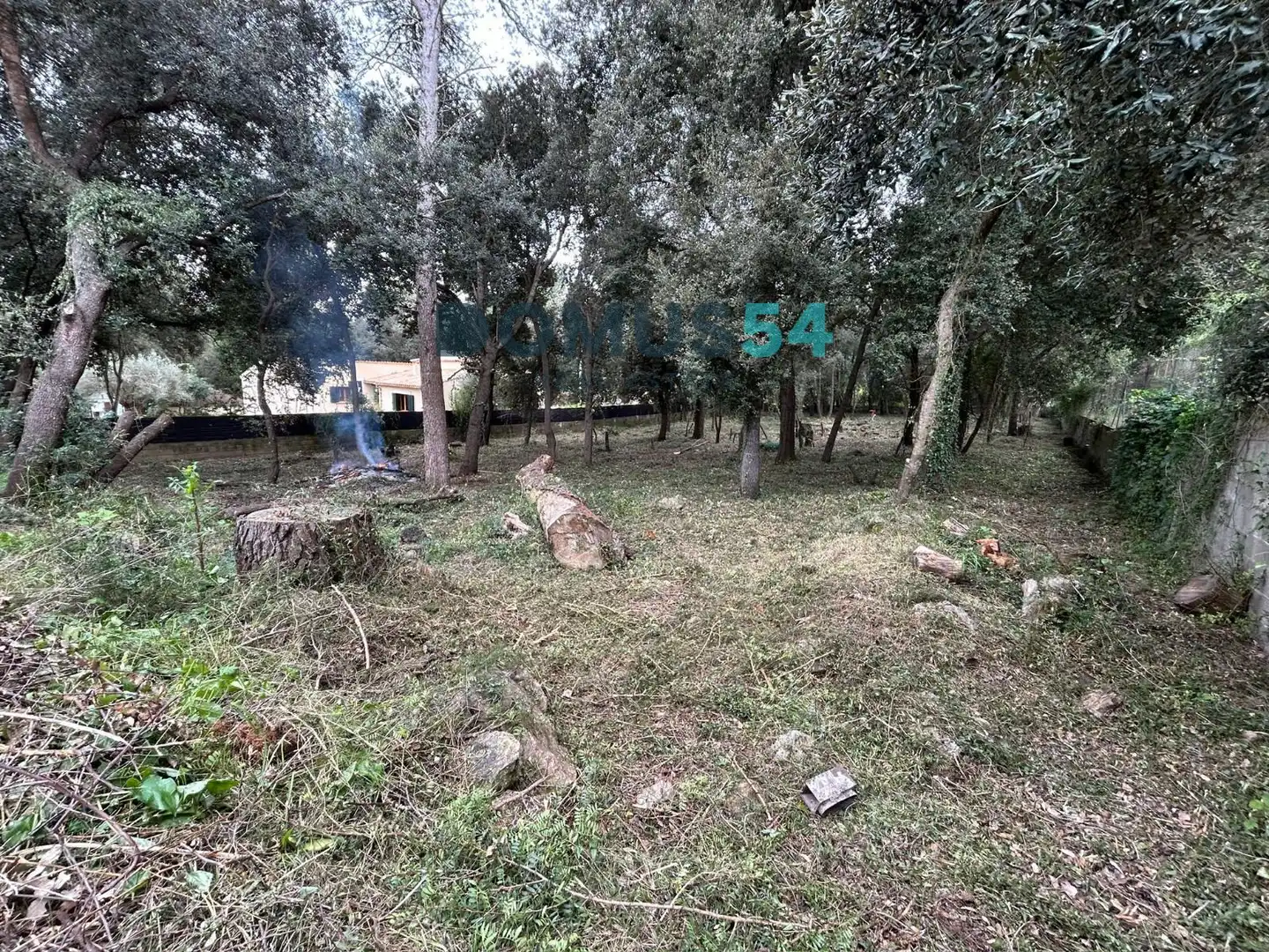 Rural land for sale in Sa Pobla, imagen 4