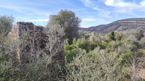 Finca Rúst. en venta en Ulldecona., imatge 2