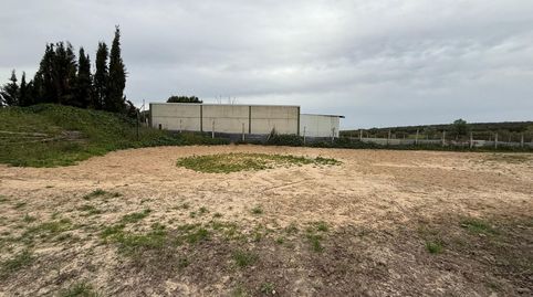 Photo 2 of Land for sale in Pilas, Pilas, Sevilla