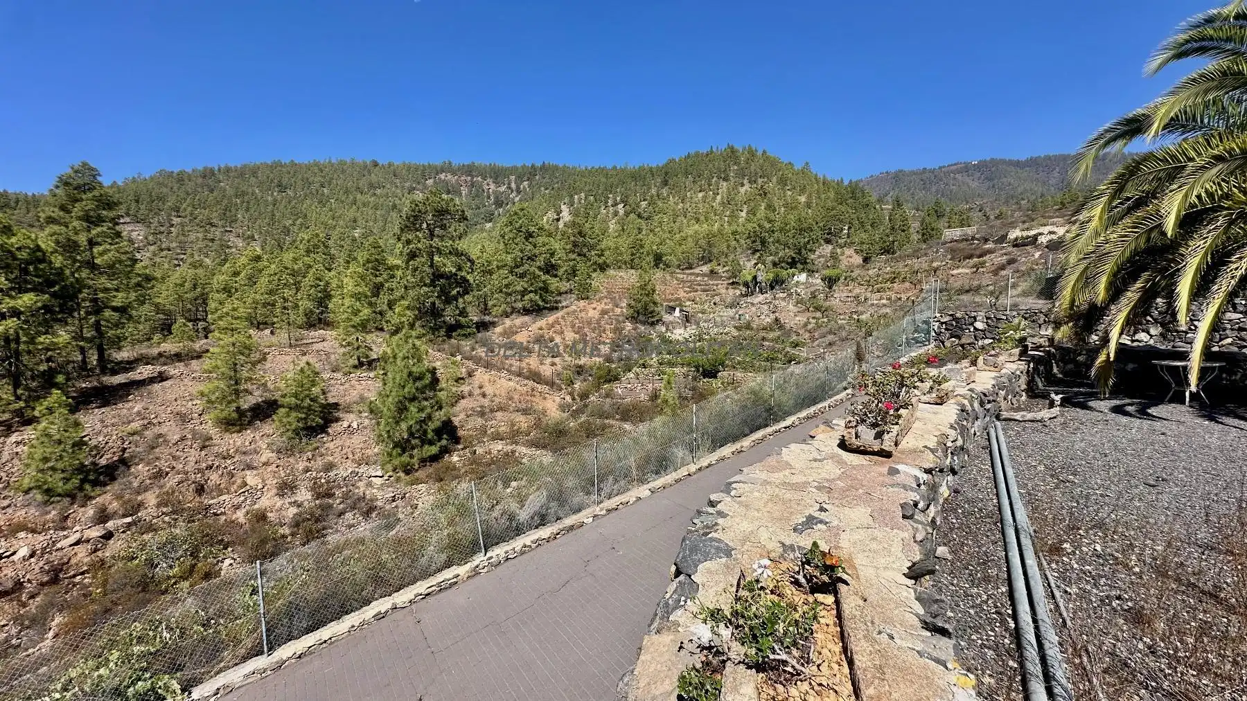Country homes for sale in Cruz de Tea