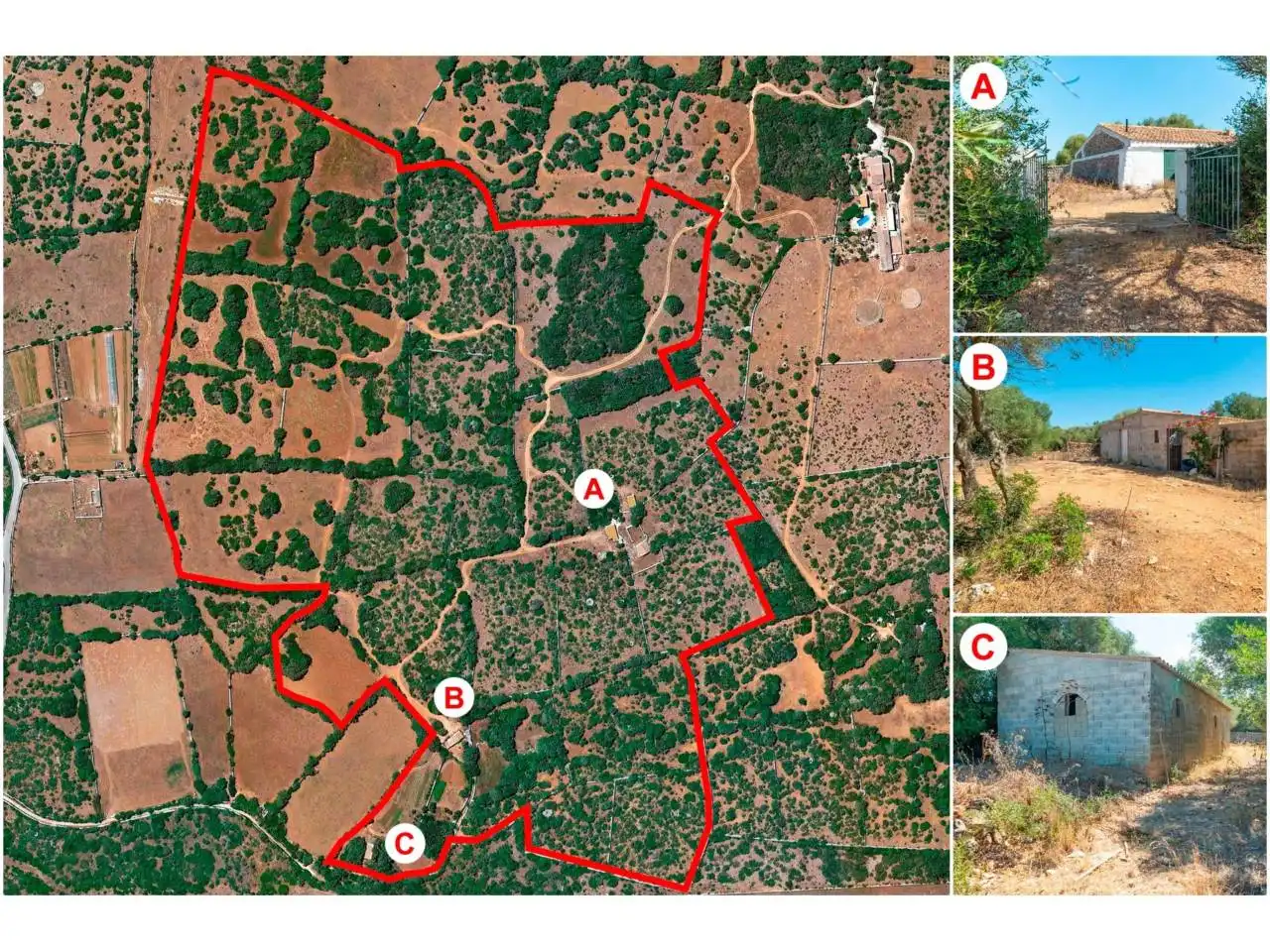 Terreno rustico in vendita a Sant Climent - Es Canutells, imagen 3