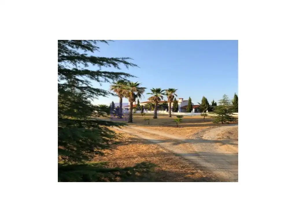 Houses for sale in Cañaveral