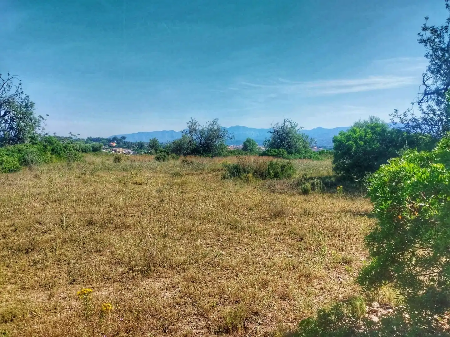 Terrain rustique à vendre à Roquetes, imagen 7