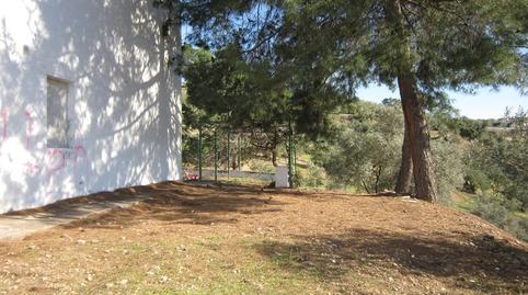 Foto 5 de Casa o xalet en venda a Paraje Los Prietos, Pol.15, Par.97, 15, Las Vegas - Campoaras, Lucena