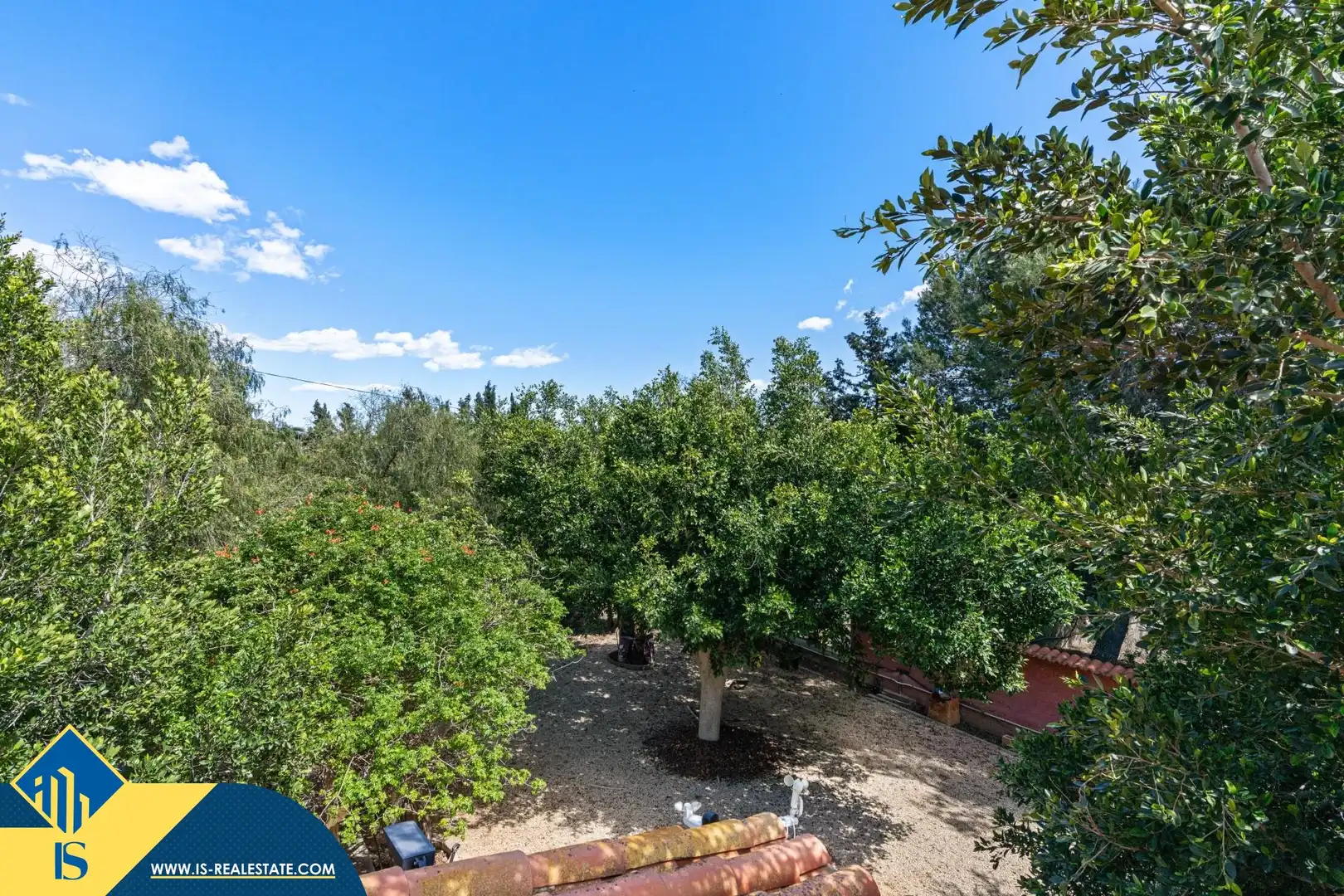 Jardí de Casa o xalet en venda en Elche / Elx amb Terrassa i Moblat