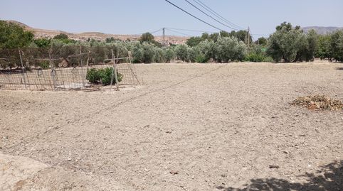 Foto 4 de Casa o xalet en venda a Carretera de Caniles, 59, Baza, Granada