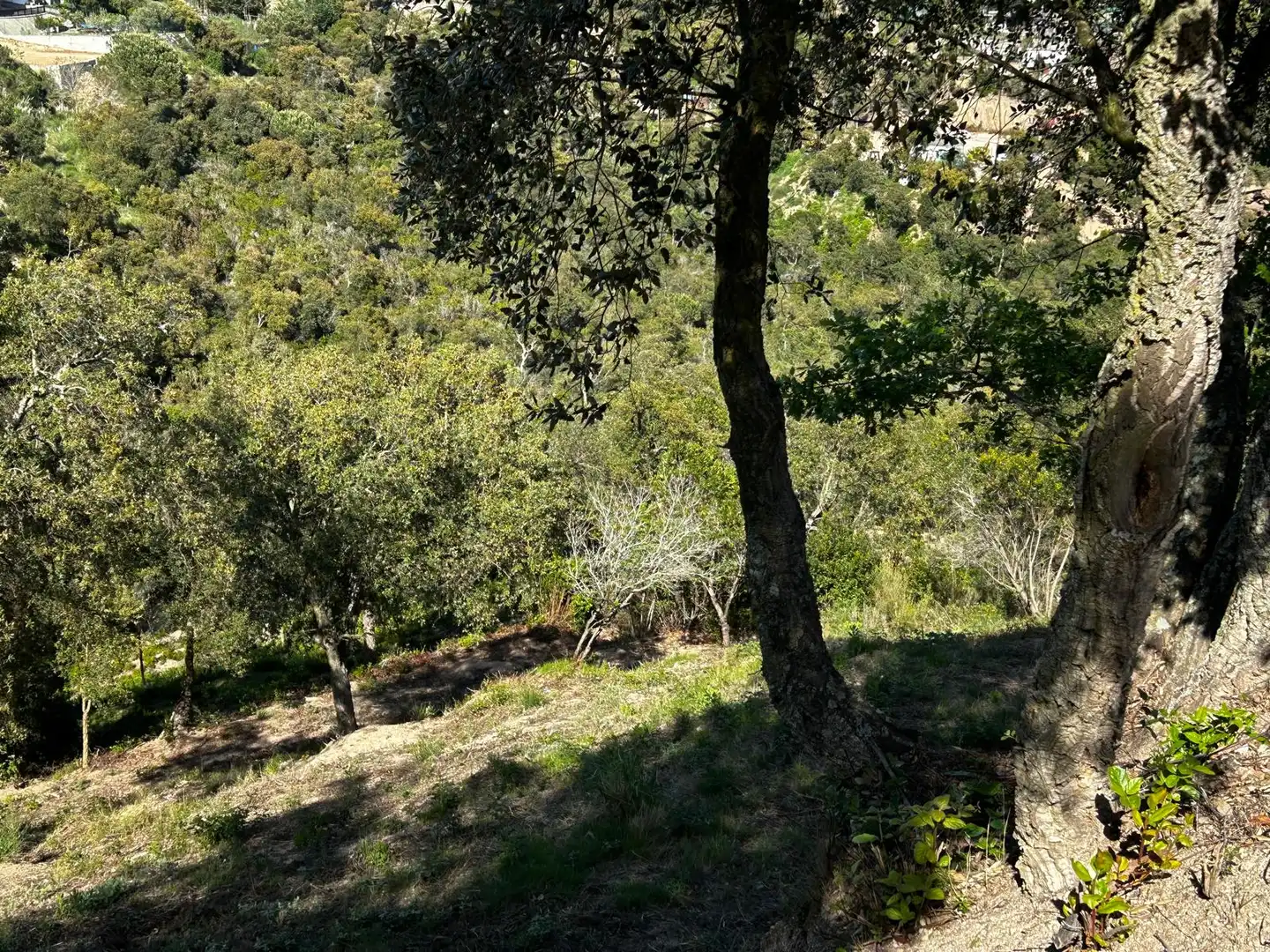 Wohnbaugrundstück zum Verkauf in Lloret Residencial - Montlloret, imagen 7