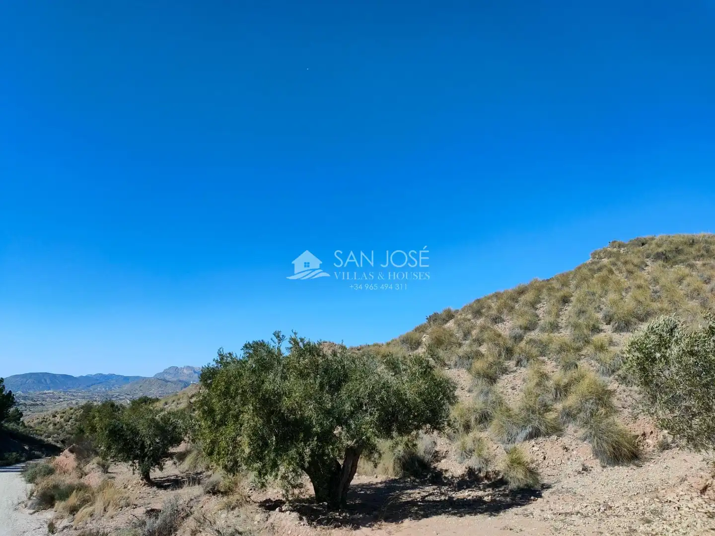 Lands and plots for sale in Abanilla, imagen 15