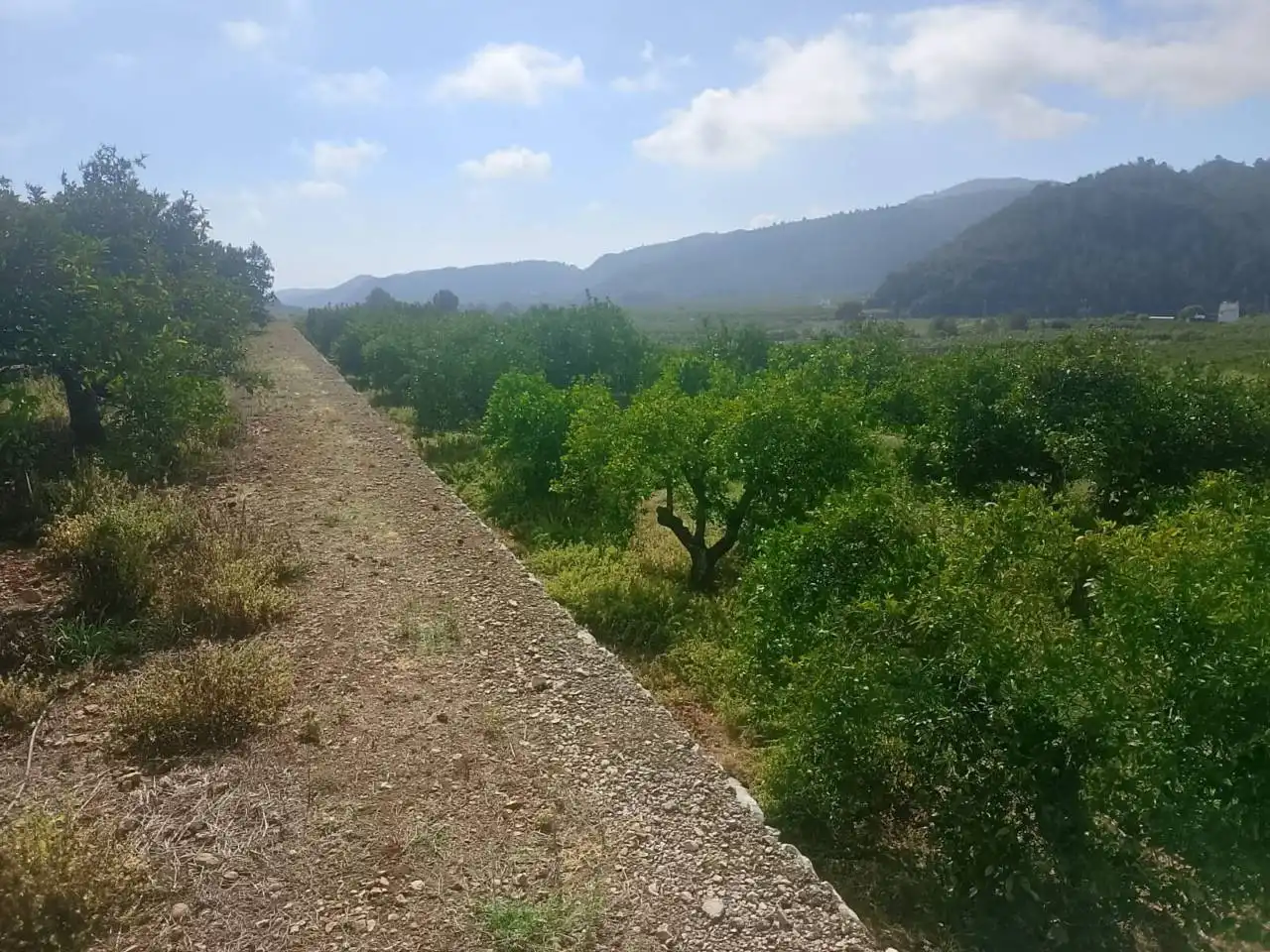 Land for sale in L'Atzúbia