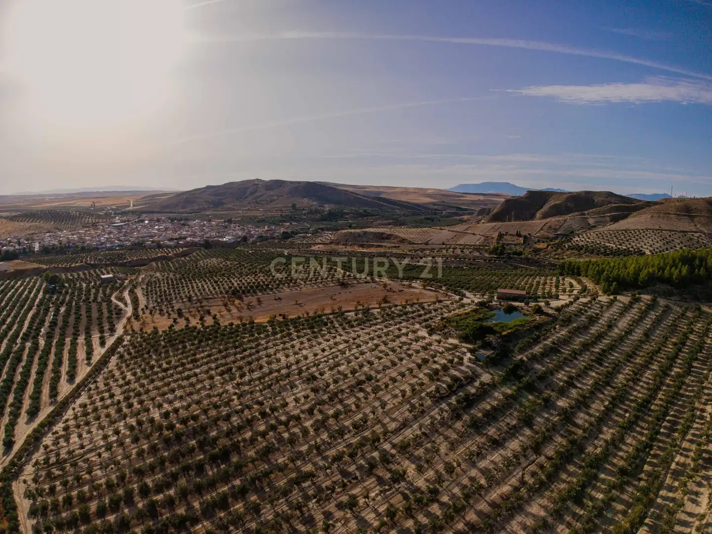 Terreno rústico en venta en 472M+GF La Malahá, Spain, imagen 11