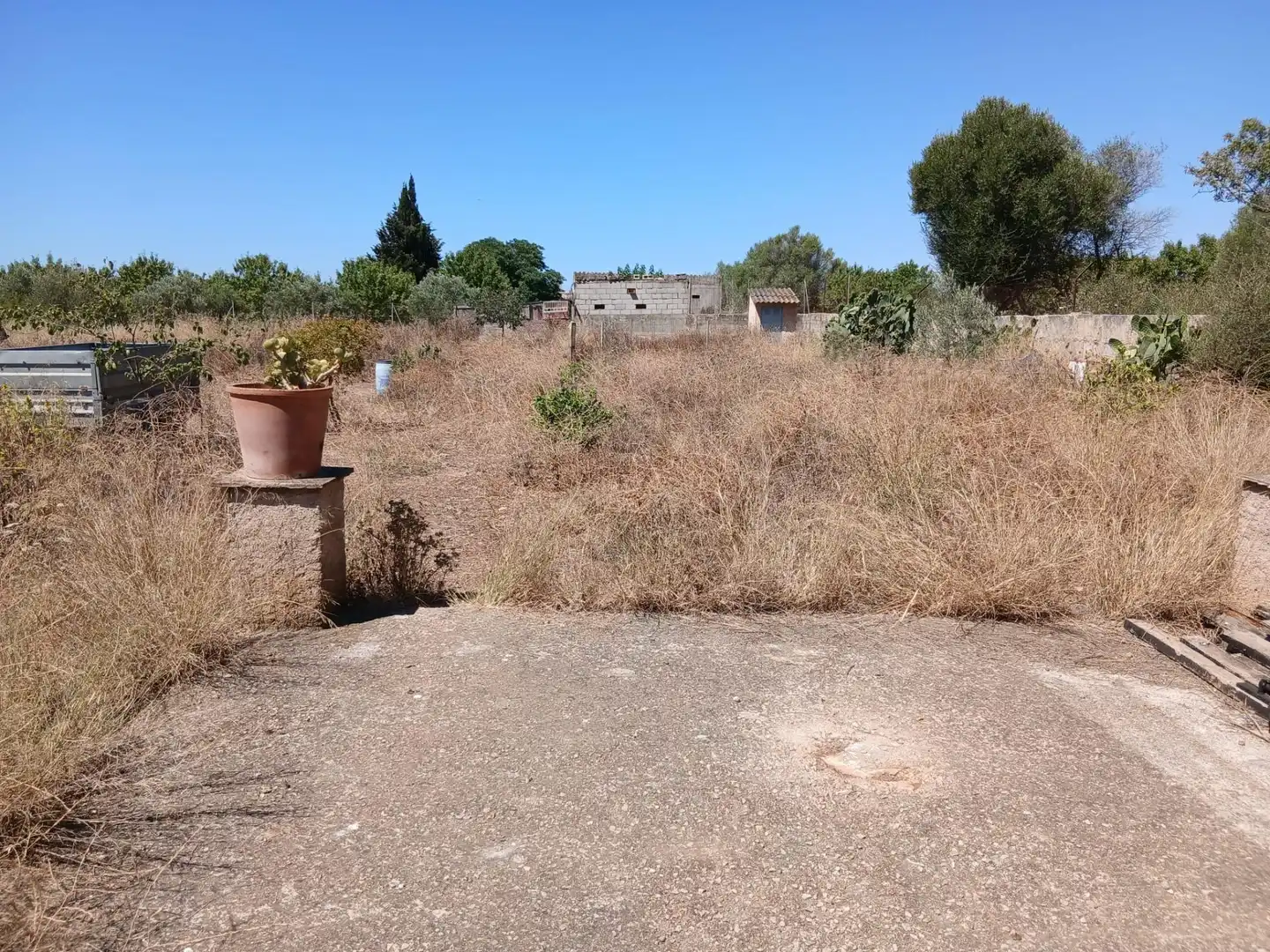 Finca rústica en venta en Consell con Jardín privado