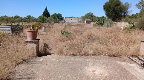 Foto 2 de Finca rústica en venda a Consell, Illes Balears
