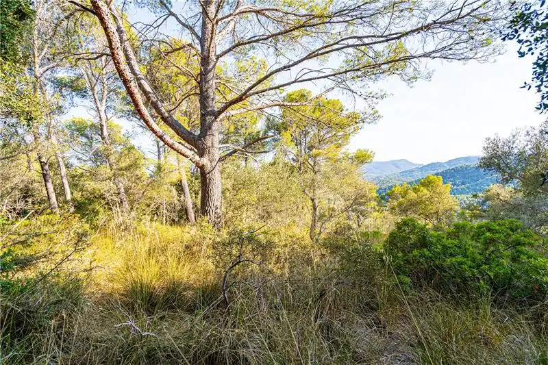 Terreno rustico in vendita a Nord, imagen 3