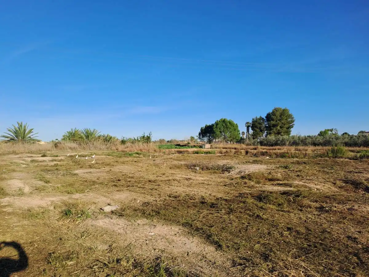 Terreni e lotti in vendita a C. Proyecto N20 en, imagen 19