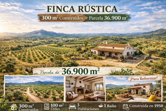 Finca rústica en Venta en Valladolises y Lo Jurado