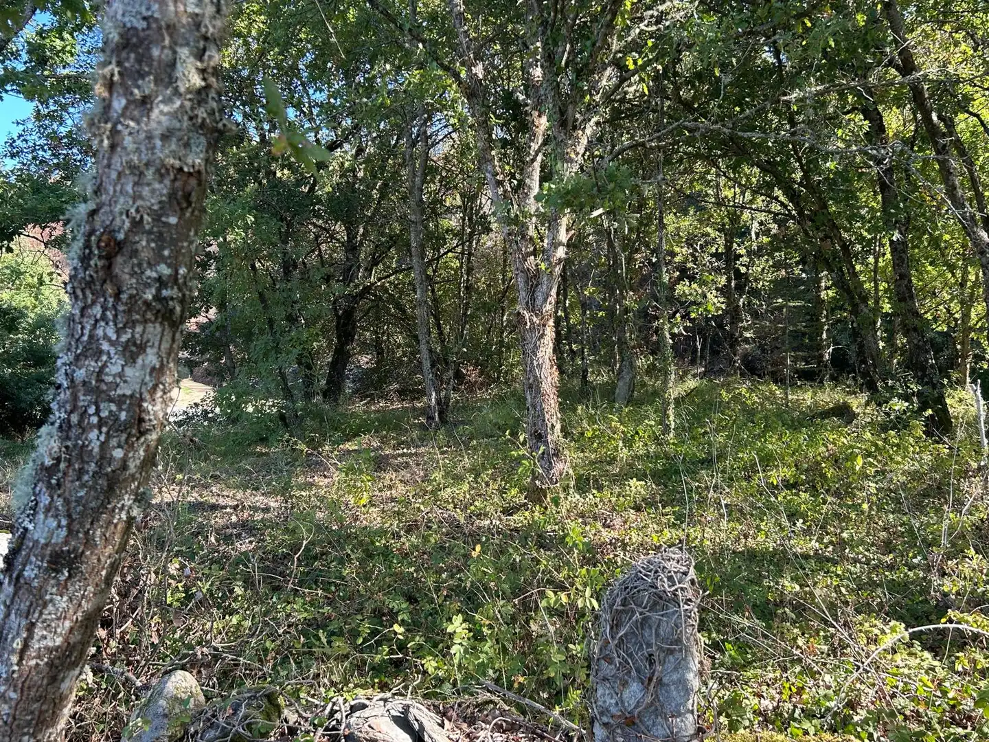 Maison rustique à vendre à Lugar, imagen 15