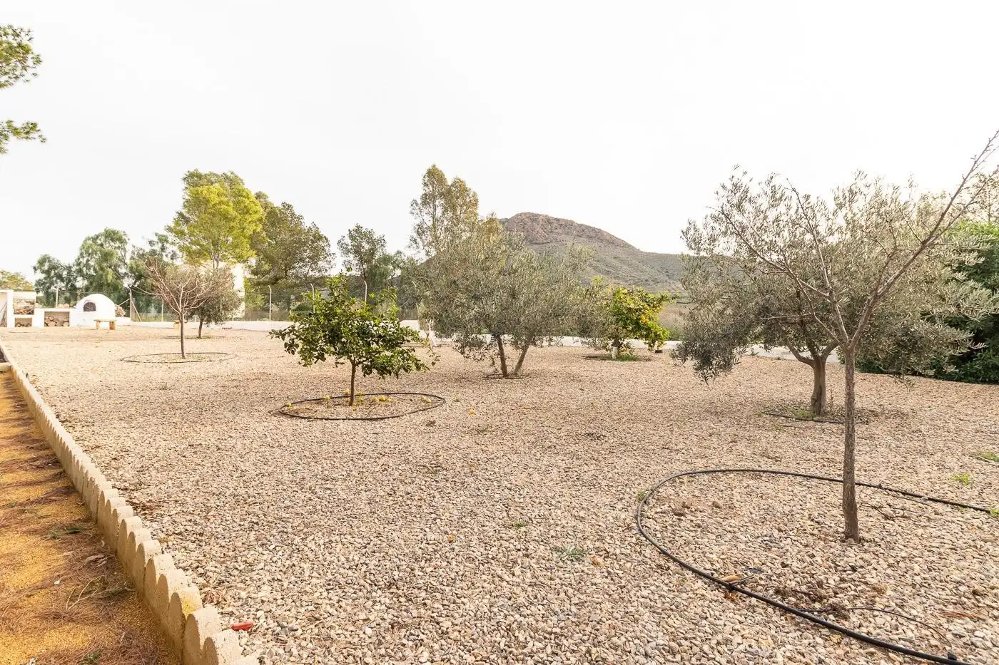 Houses for sale in Mazarrón  with Terrace