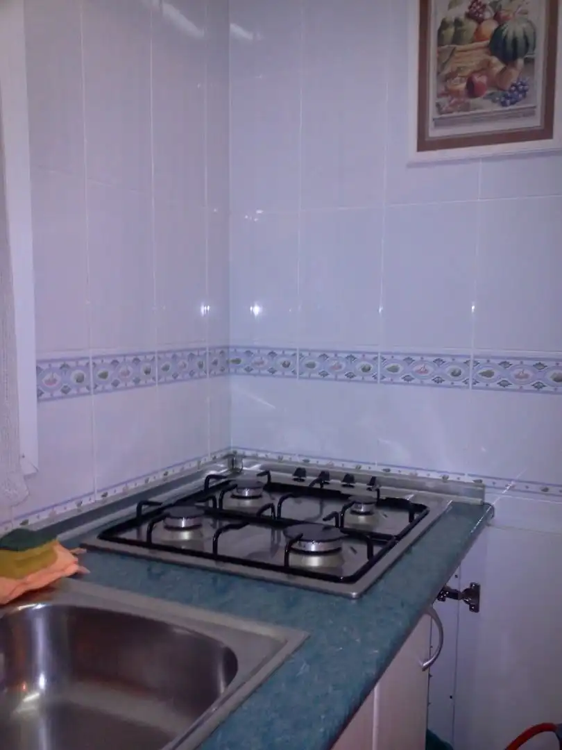 Apartments for rent in Centro- San Felipe - Huerta Fava