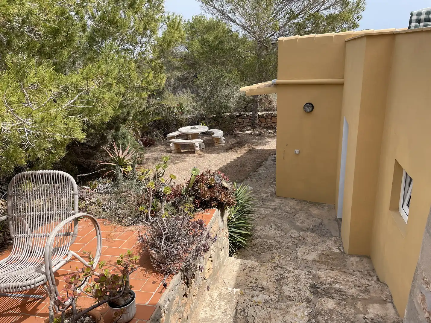 Jardí de Casa o xalet en venda en Formentera amb Jardí privat, Terrassa i Piscina