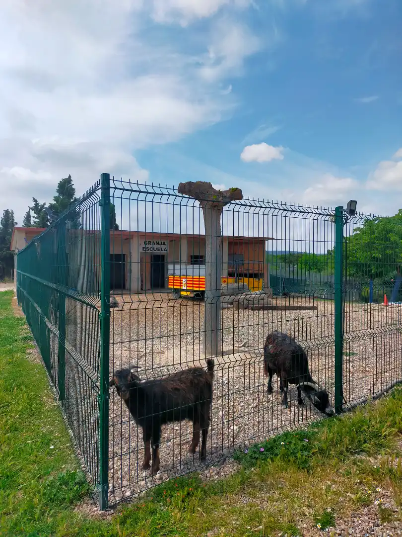 Vista exterior de Finca rústica en venta en Zaragoza con Aire acondicionado, Calefacción y Jardín privado