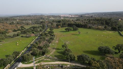 Foto 2 de Finca rústica en venta en Lugar Arenal, Valencia de Alcántara, Cáceres