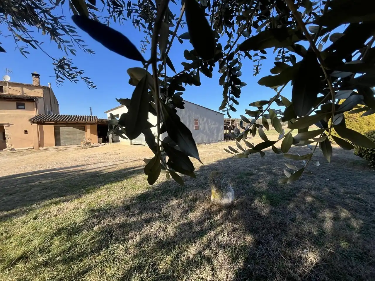 Xalet amb jardí en venda a Diseminado Afores 32, imagen 4
