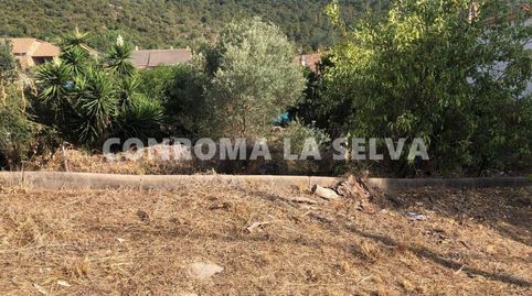 Terreno en venta en Urbanitzacions El Mas MóraSant DanielBlanes Mar