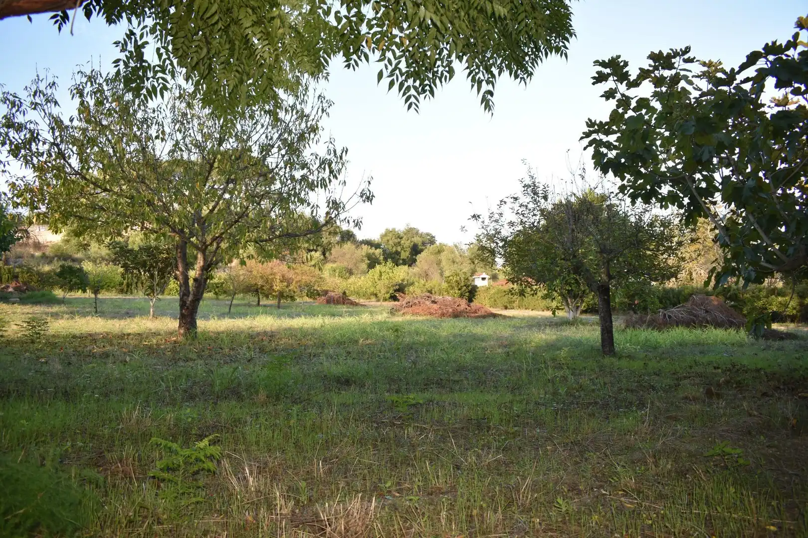 Casa o xalet en venda en Xàtiva amb Aire condicionat, Calefacció i Jardí privat