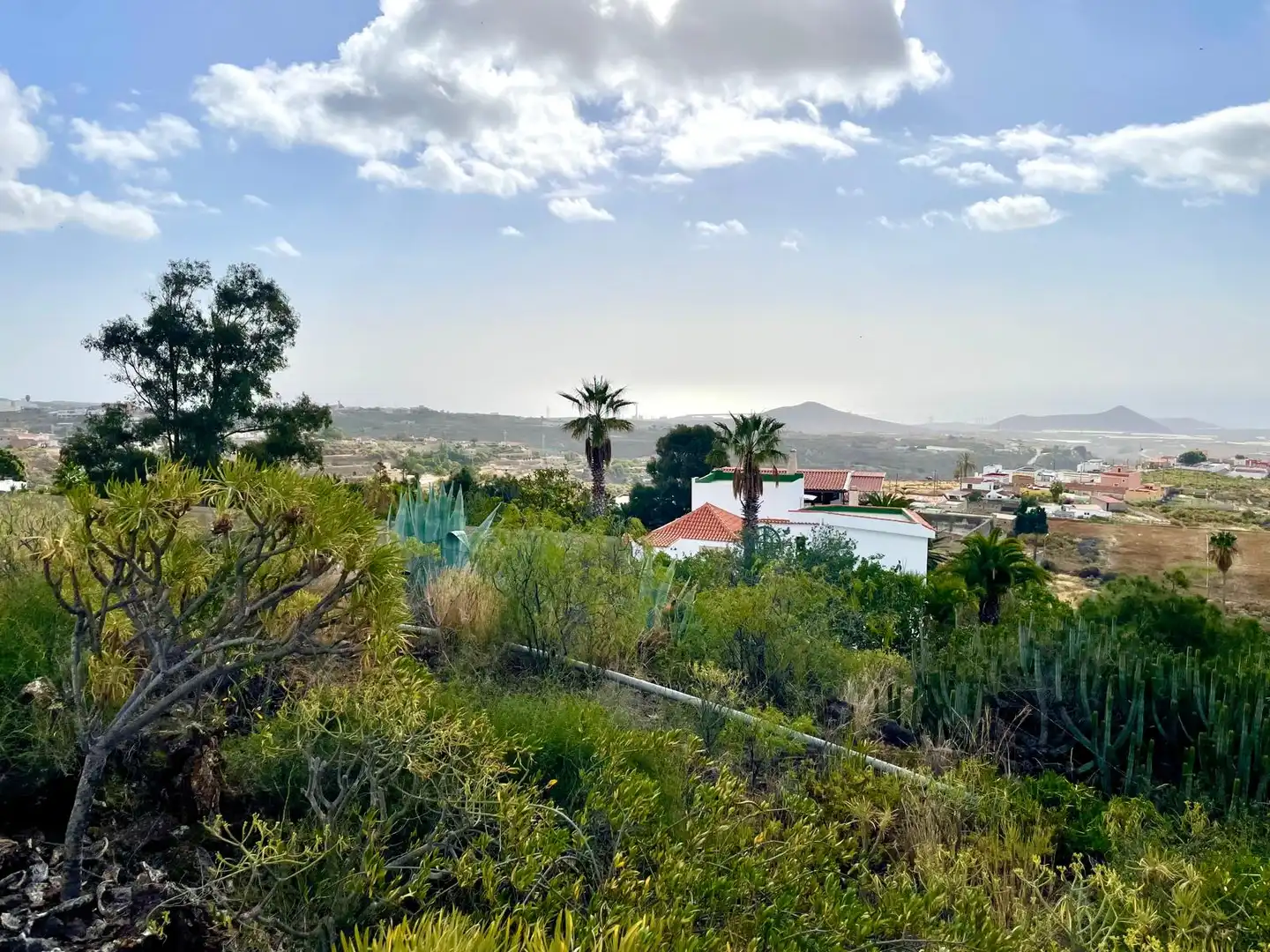 Exterior view of Houses for sale in Granadilla de Abona  with Private garden, Terrace and Swimming Pool
