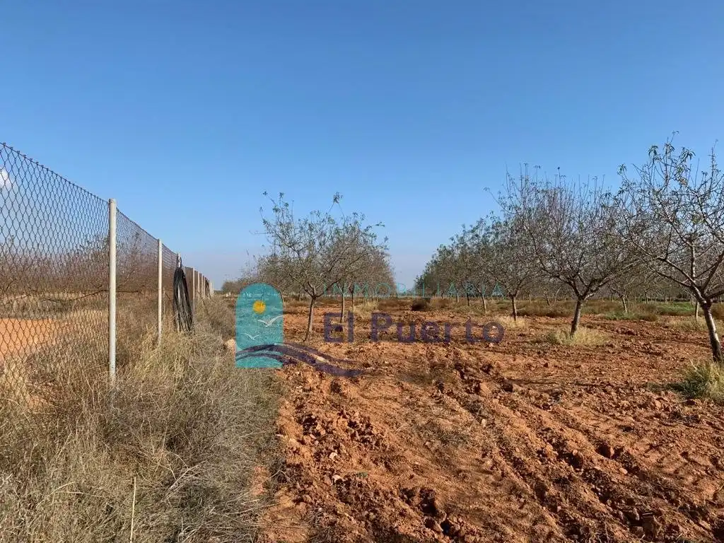 Terreno rústico en venta en Pedanías Oeste, imagen 4