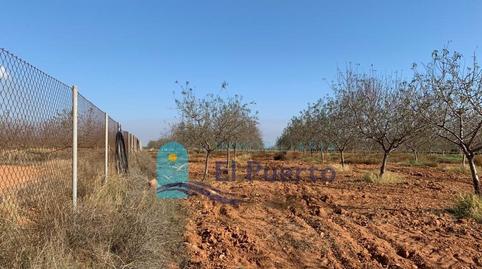 Foto 4 de Terreny en venda a La Magdalena - Molinos Marfagones, Murcia