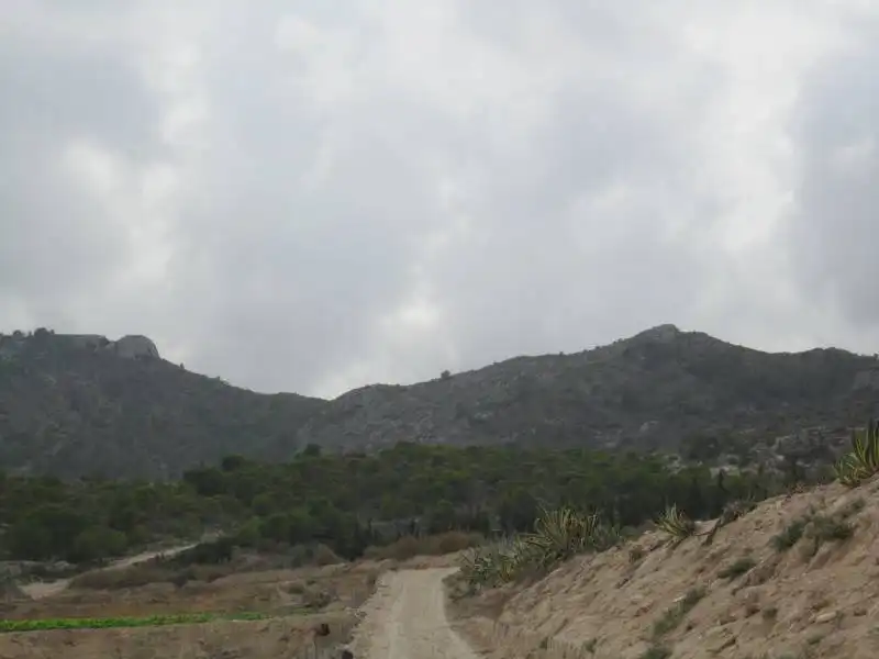 Rural land for sale in Novelda, imagen 5