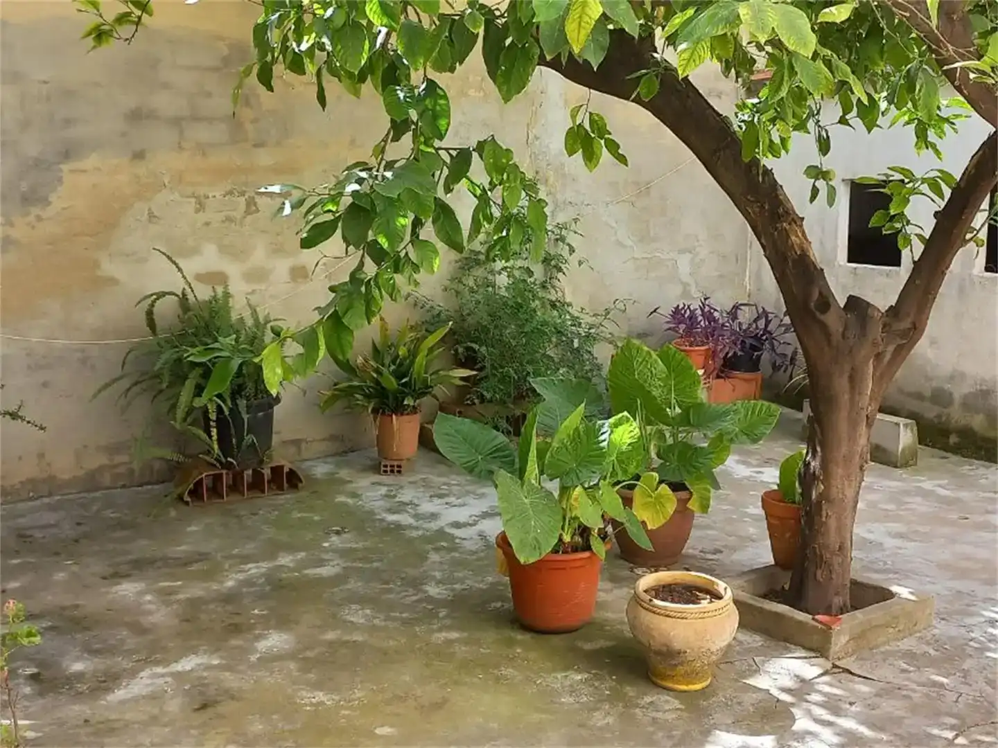 Terraza de Casa adosada en venta en Pobles del Sud
