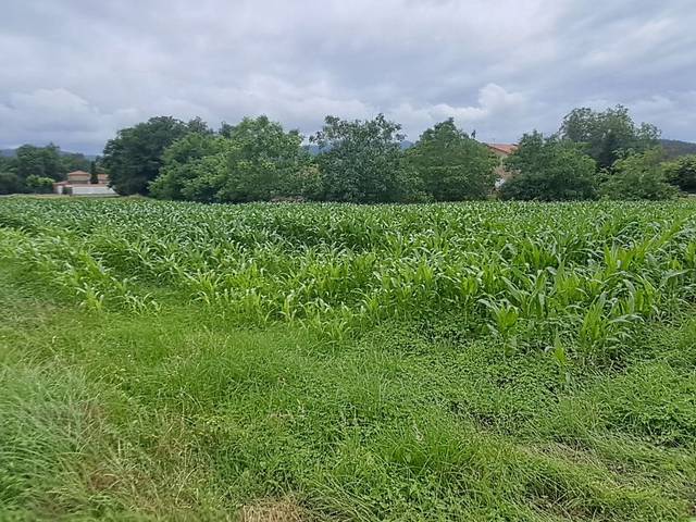 Terreno residencial en Venta en Barrio San Julián, 1 en Zurita