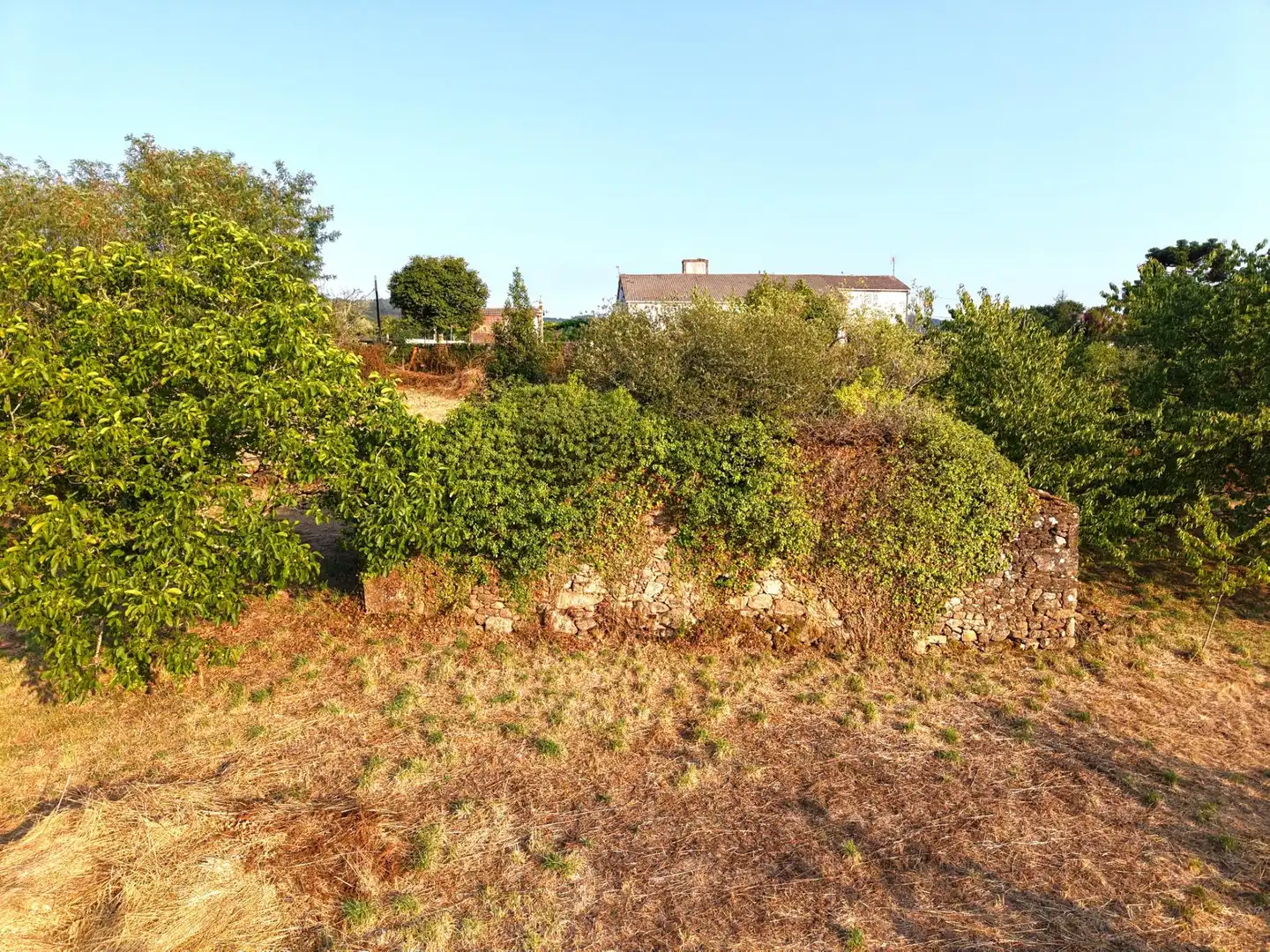 Lands and plots for sale in Lugar Estrada 521, imagen 3