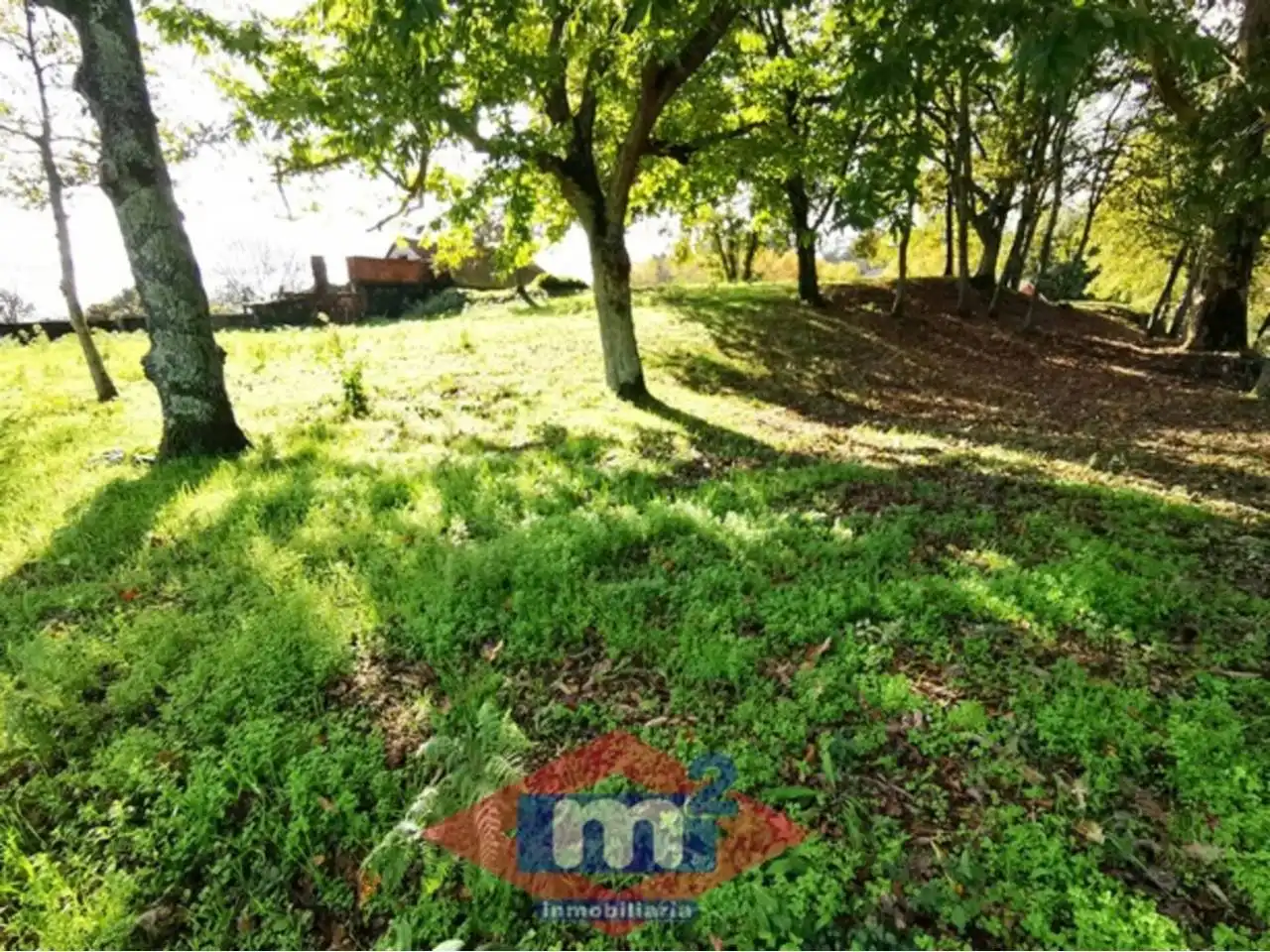 Lands and plots for sale in Salceda de Caselas, imagen 4