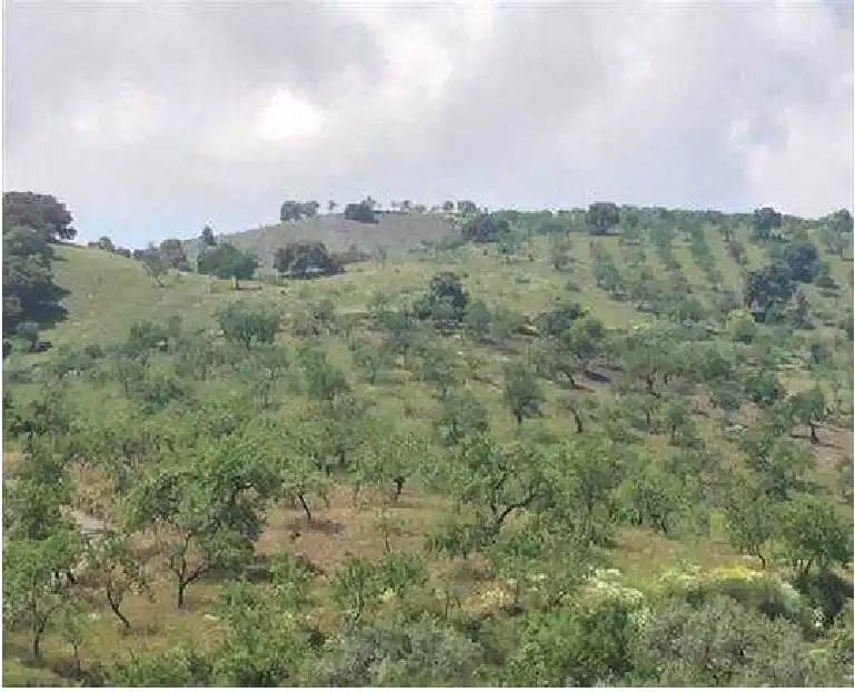 Grundstücke und Bauplätze zum Verkauf in Pr Monte, imagen 13
