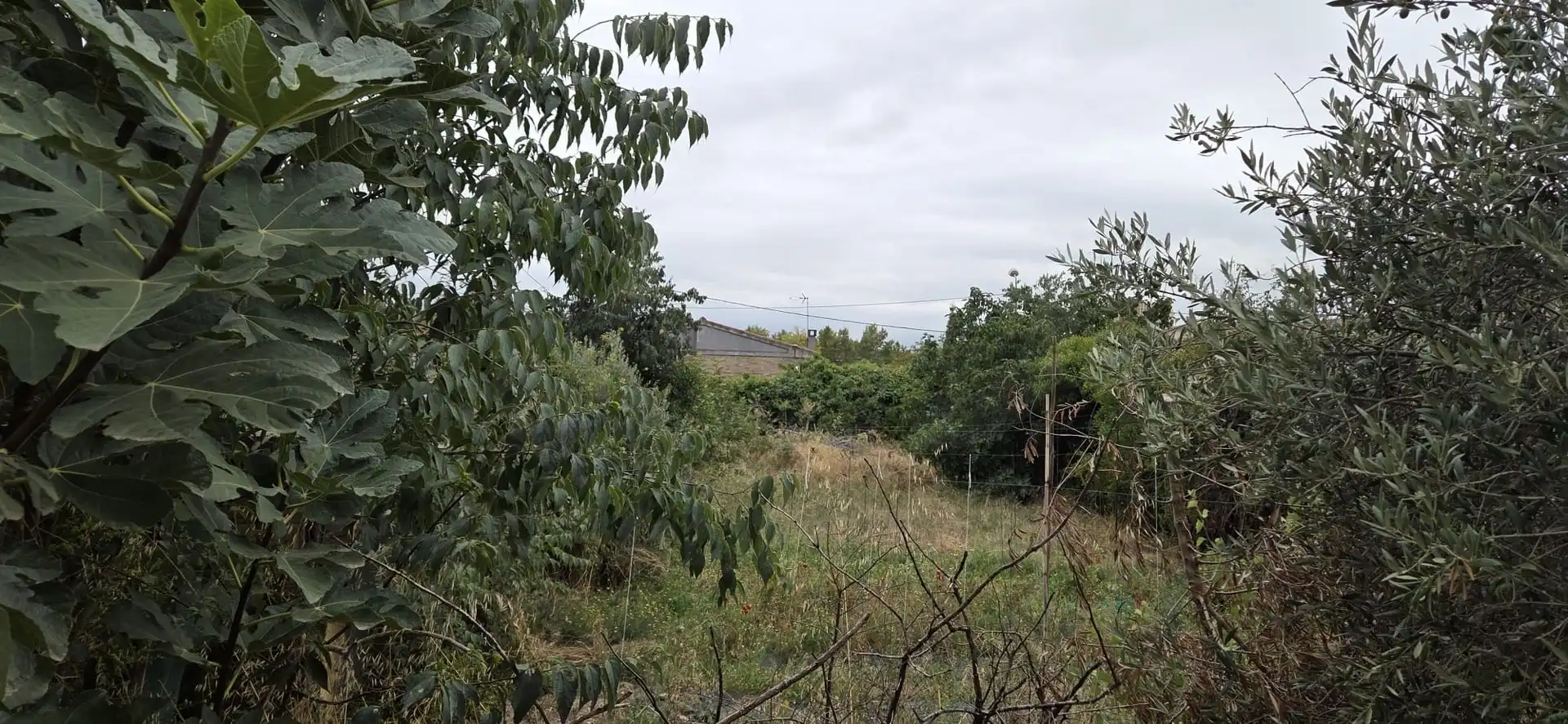 Residential land for sale in Tàrrega, imagen 12