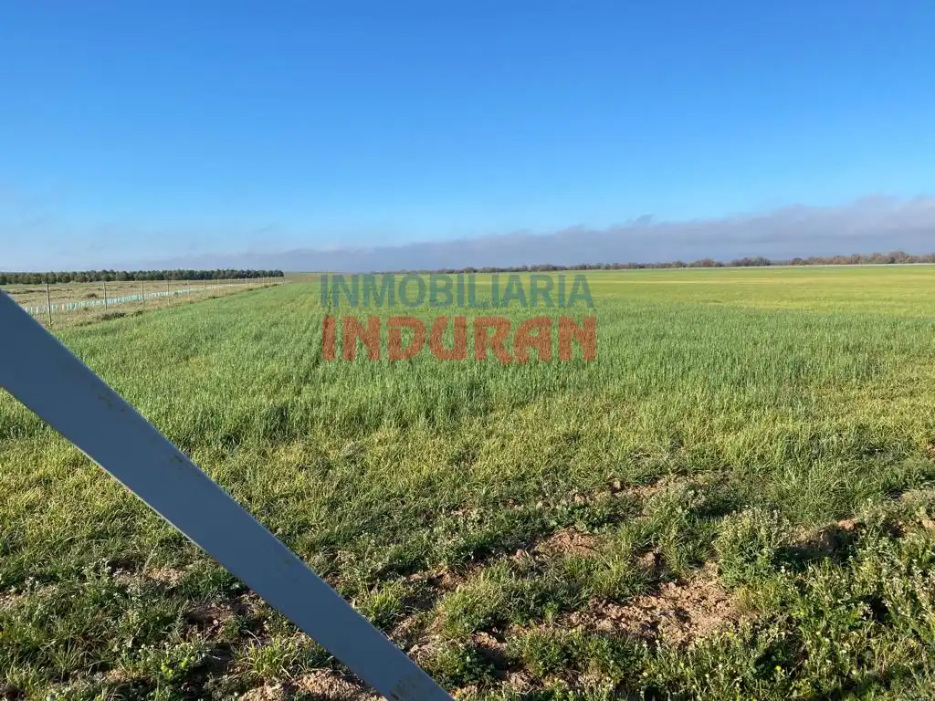 Casa rústica en venta en Avenida Castilla La Mancha, imagen 5