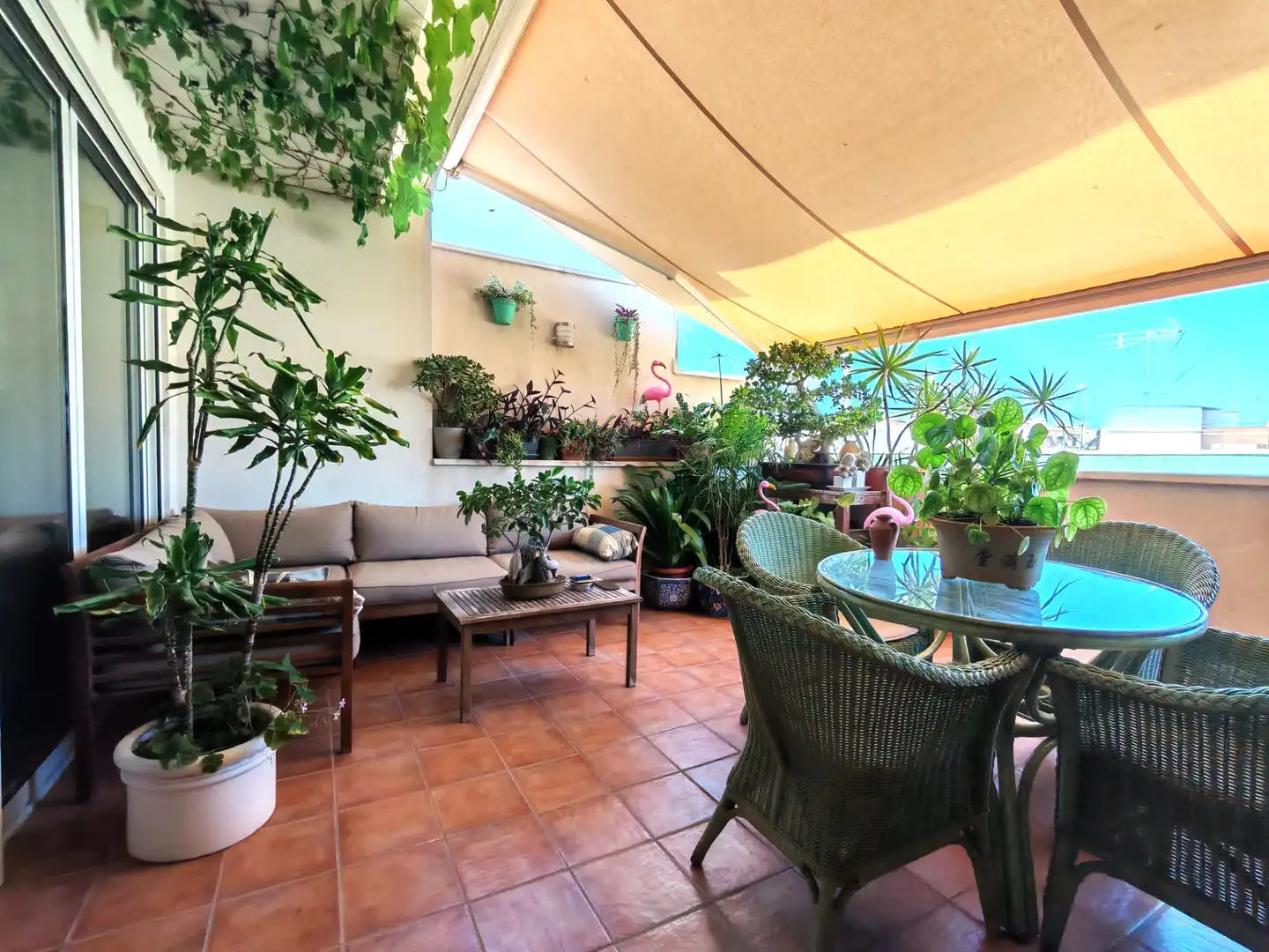 Terraza de Ático en venta en Elche / Elx con Aire acondicionado, Parquet y Terraza