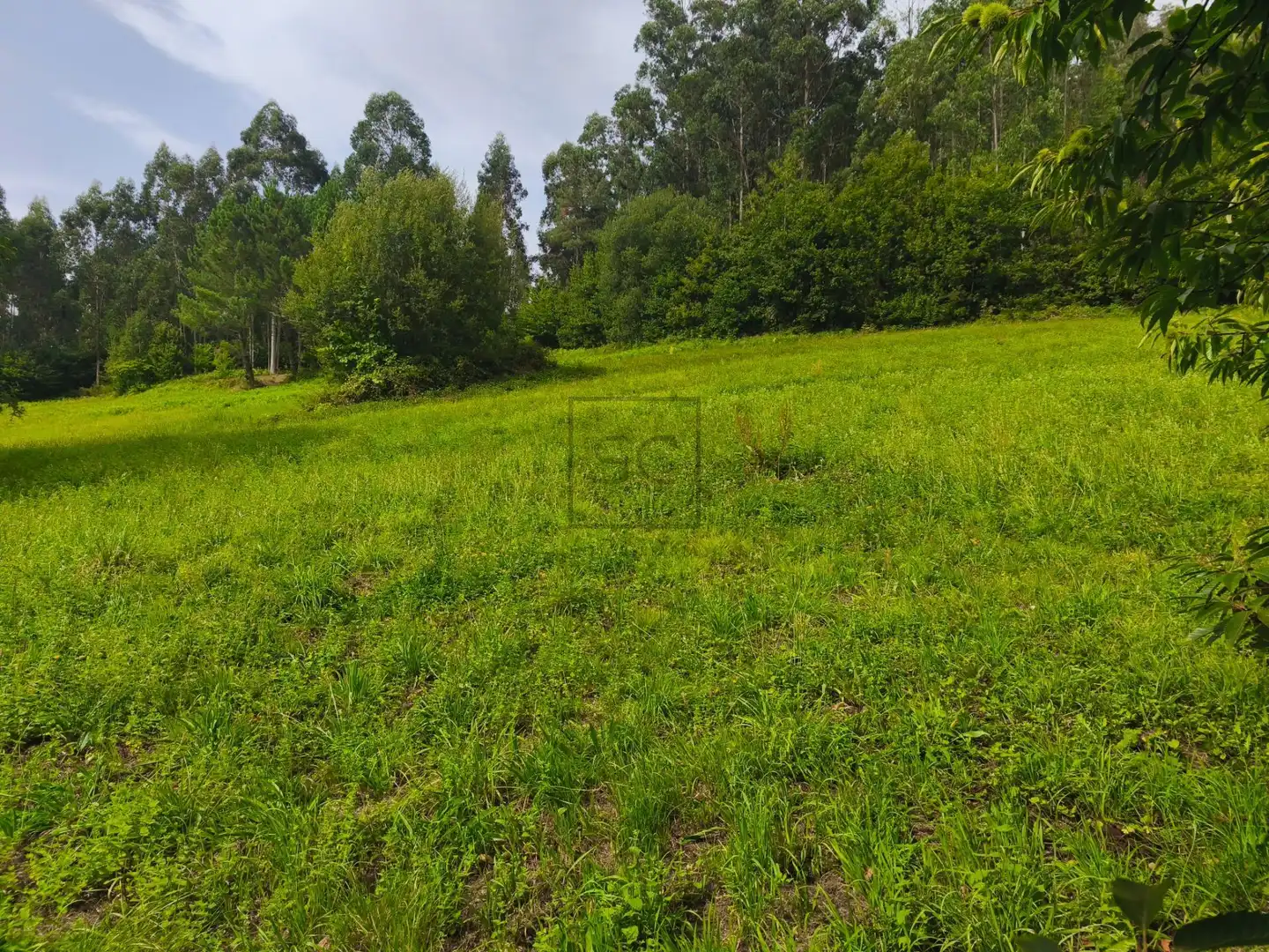 Casa en venda a SEARA. FERREIRA, imagen 36