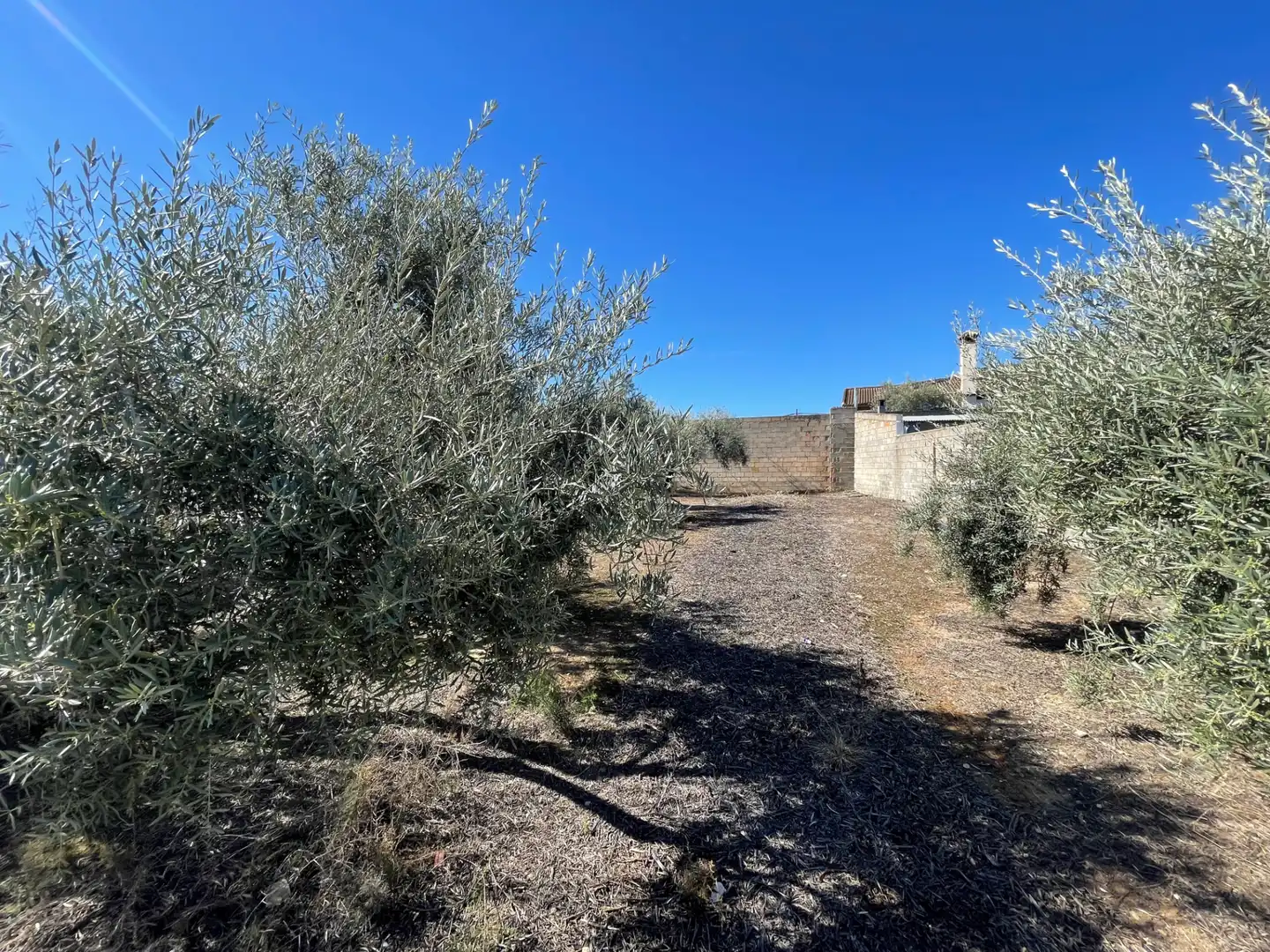 Terreny residencial en venda a Calle Guadix, imagen 4