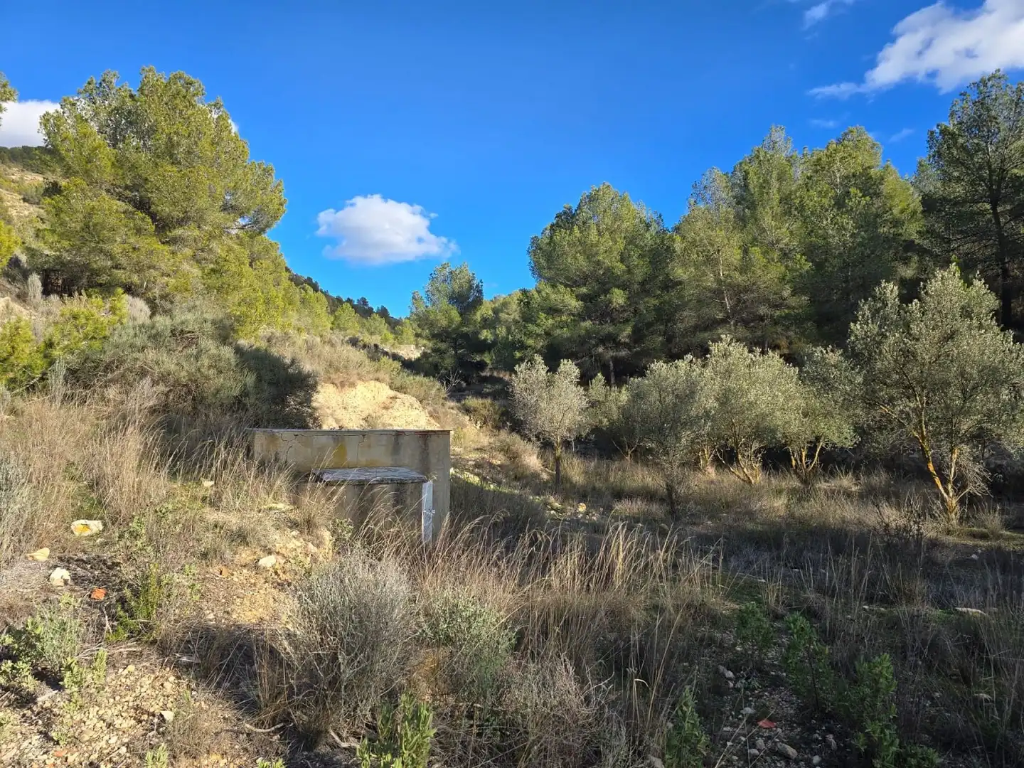 Chalet en venta en Petrer, imagen 39