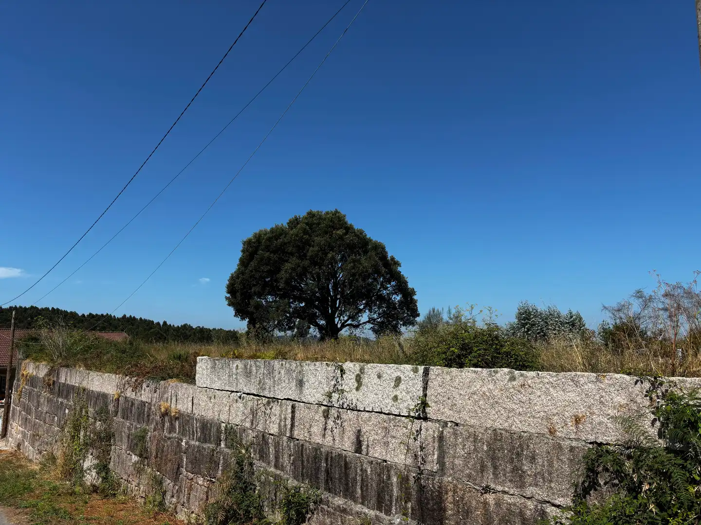Terreni e lotti in vendita a Terrenos Fonte de Curro, imagen 6