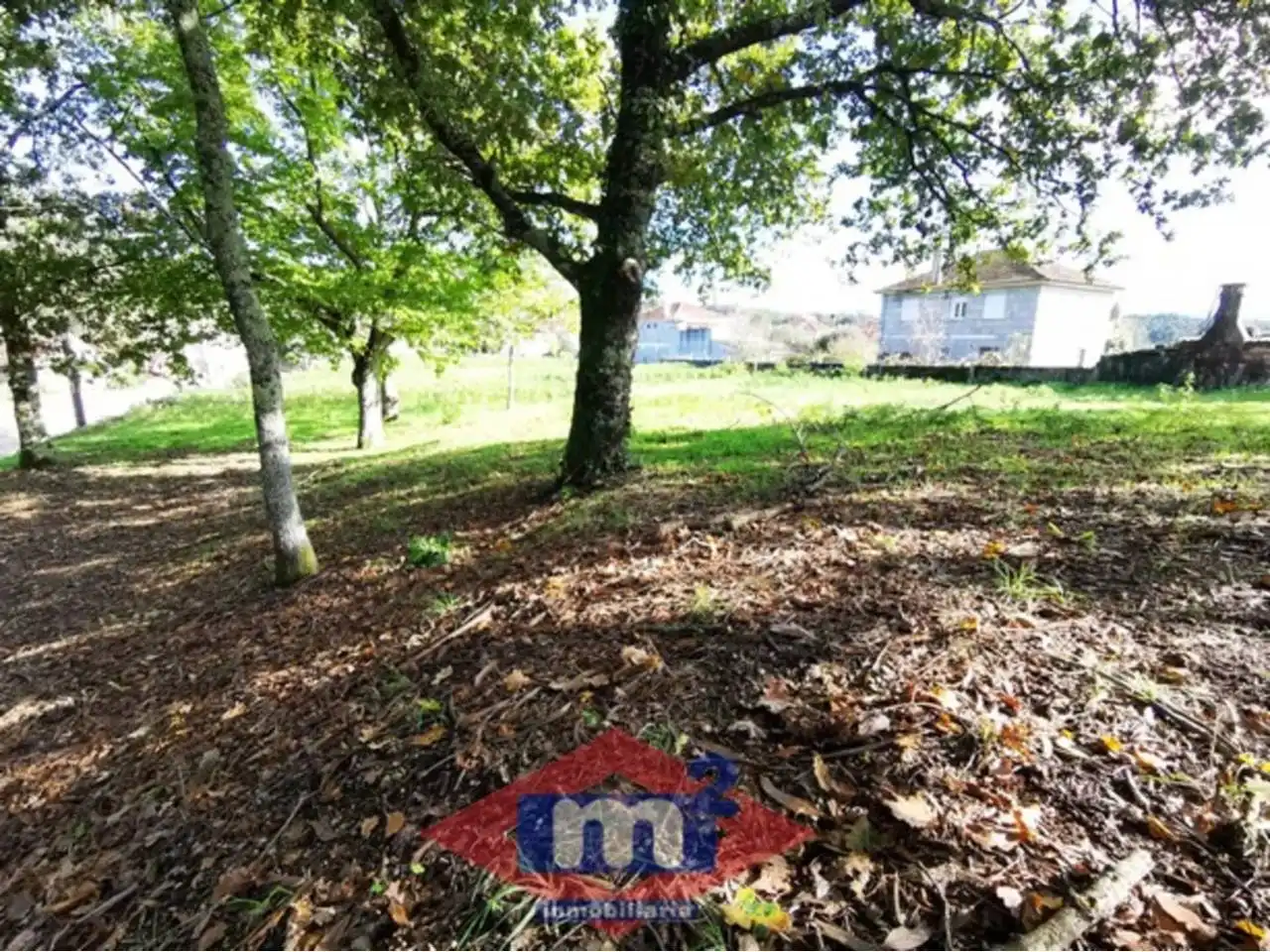 Lands and plots for sale in Salceda de Caselas, imagen 10