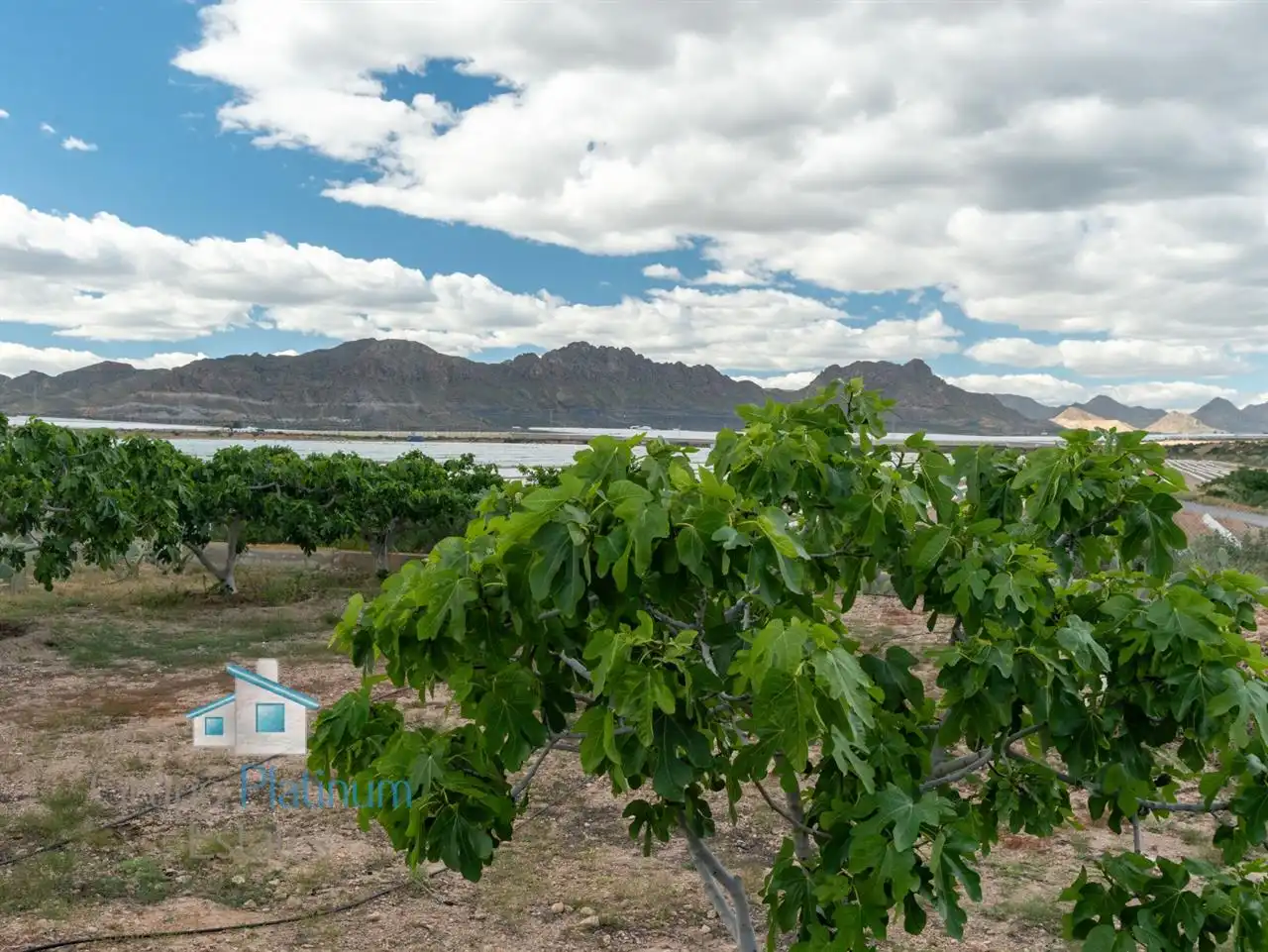 Finca rústica en venta en Águilas con Trastero y Amueblado