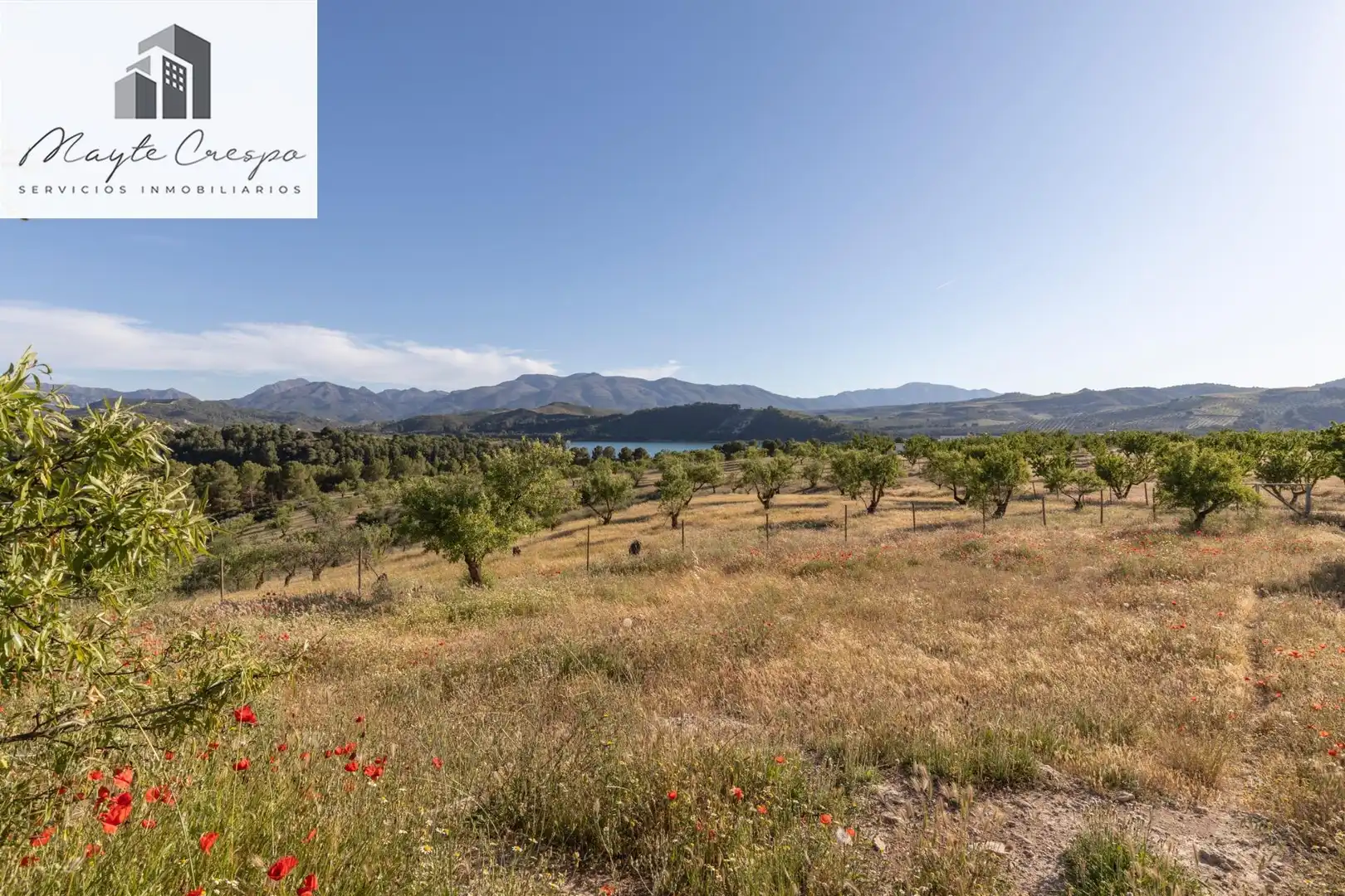 Casa rústica con terraza en venta en Calle GR-3307, Arenas del Rey, Granada GR-3307, imagen 44