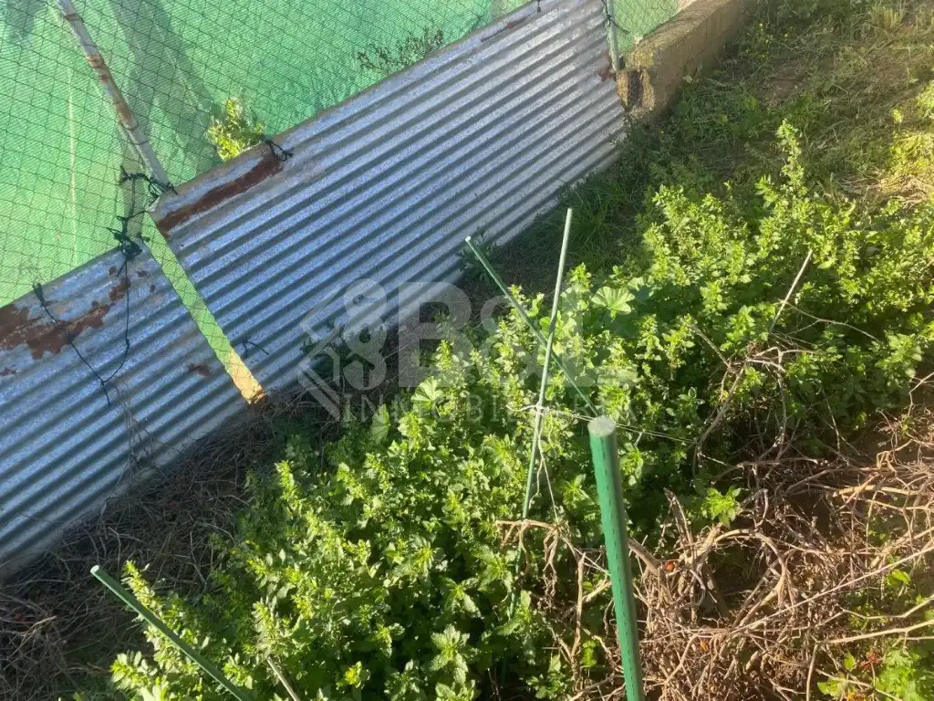 Finca rústica en venta en Gibraleón