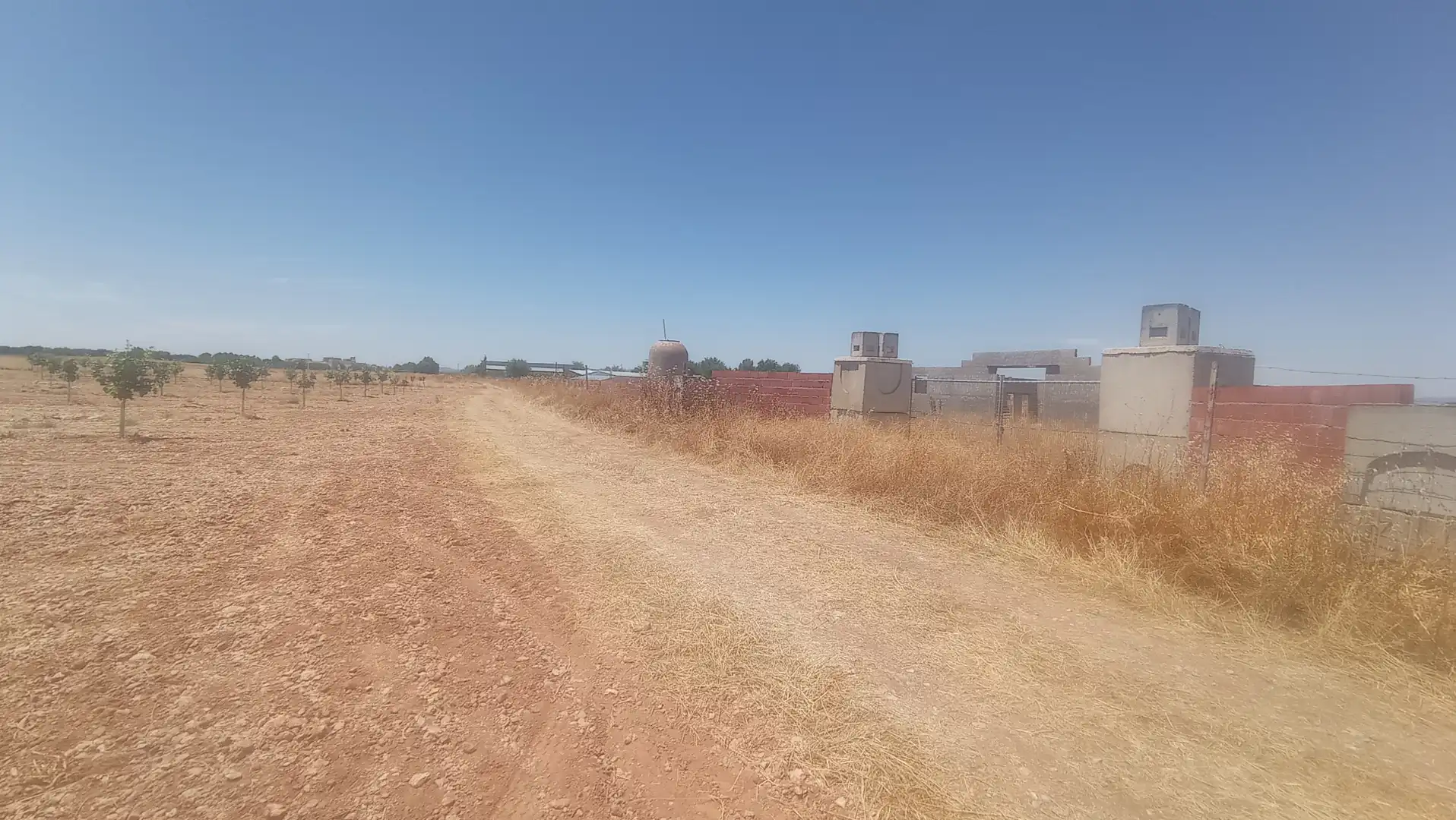 Terreno rústico en venta en Carrión de Calatrava, imagen 13